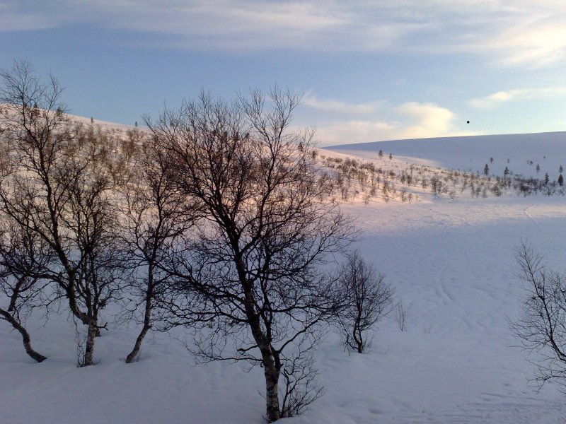 The view on Lake Rautulampi
